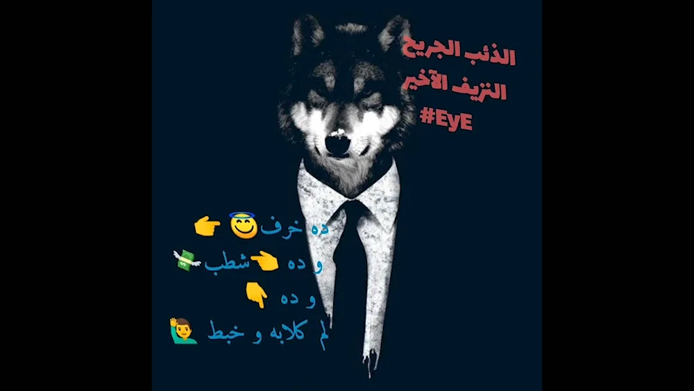 Wolf costume