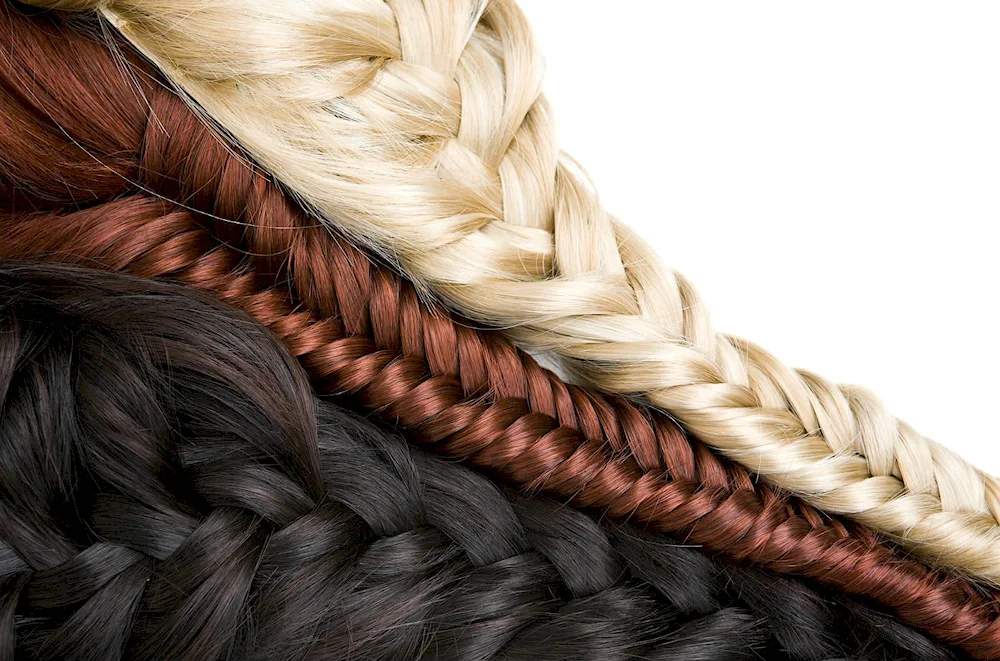 Braid