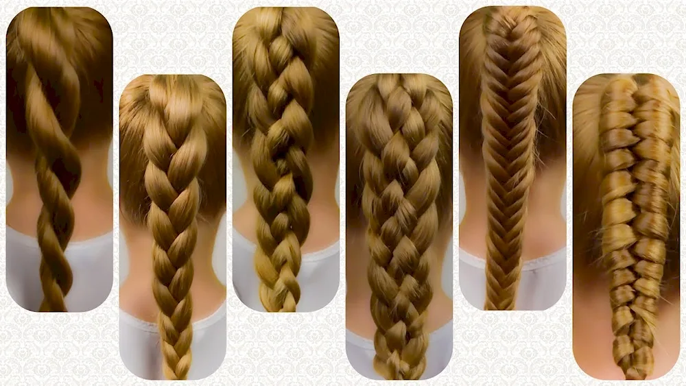 Braid hairstyles