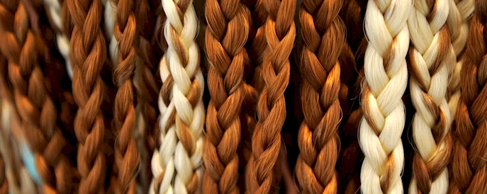 Braid