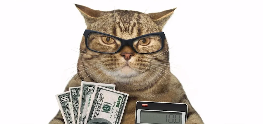 Cat with money