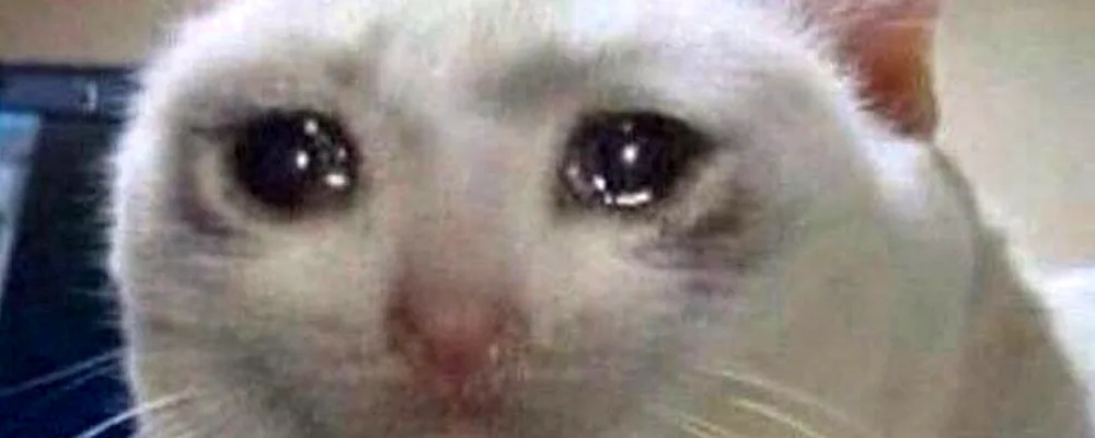 Cat Crying