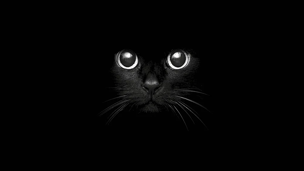 Drawings on black background