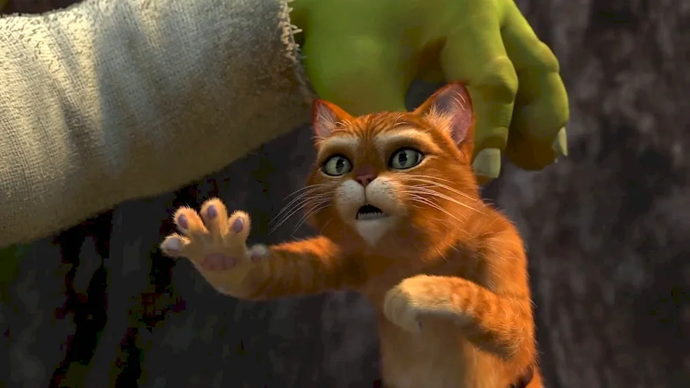 Shrek the Cat from Shrek