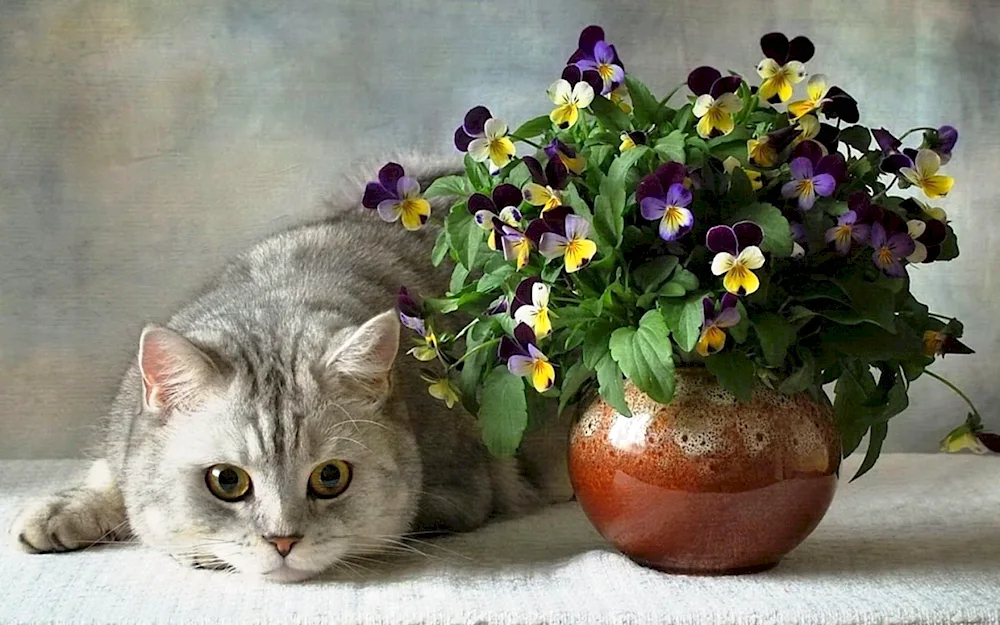 Flowers and animals