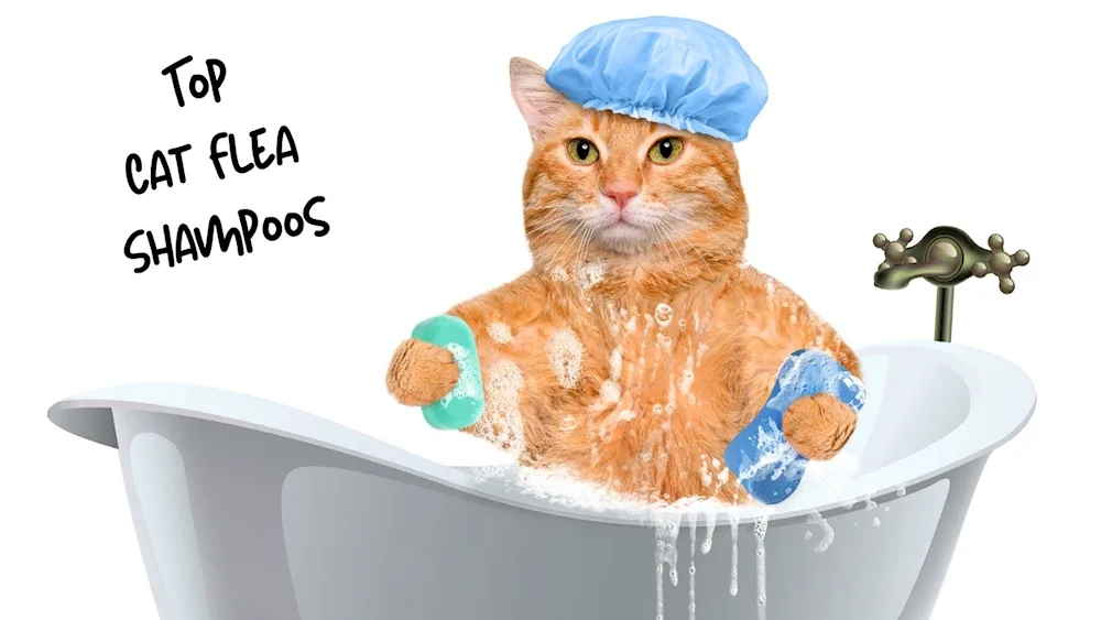 Cat in the bath