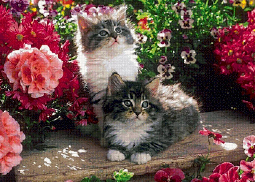 Cats and flowers