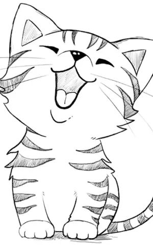 Cat pencil drawing for drawing
