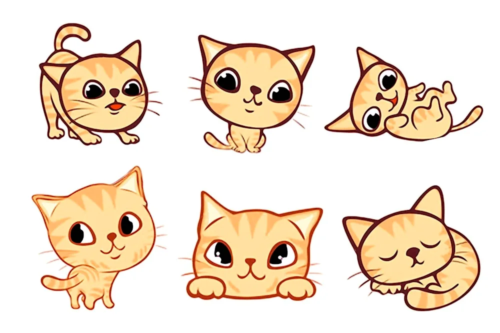 Kitty cat drawings