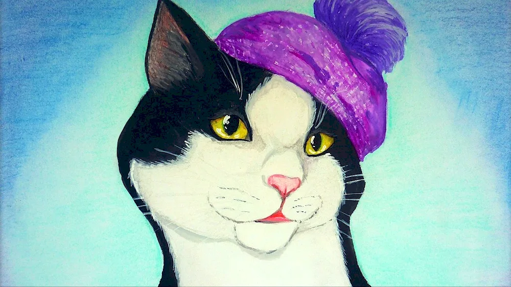 Cats drawings