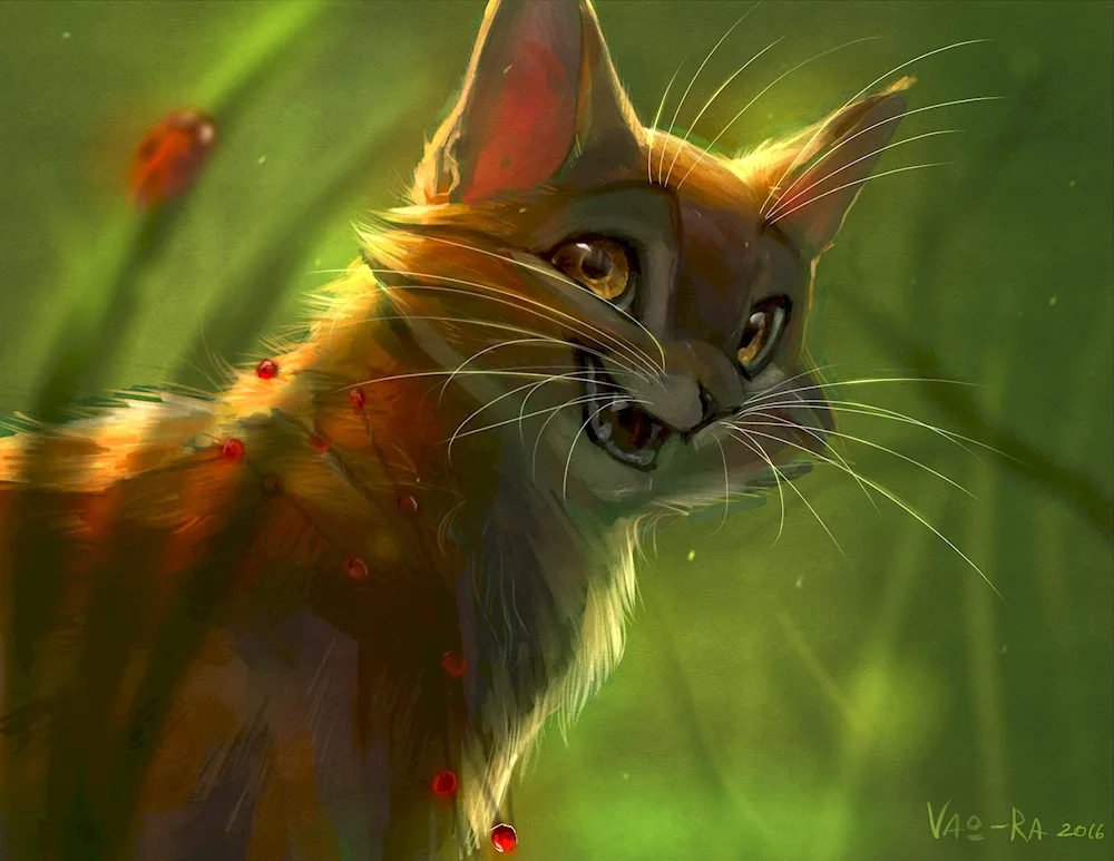 Misty Star Warrior Cats