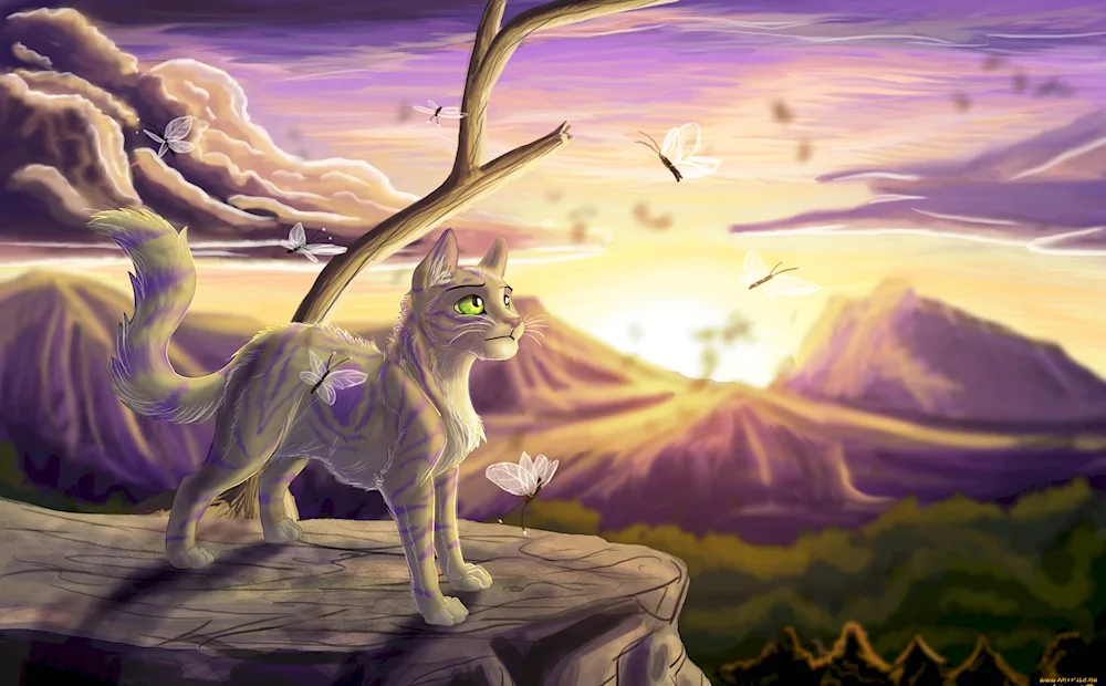 Warrior Cats Midnight Badger Cat art