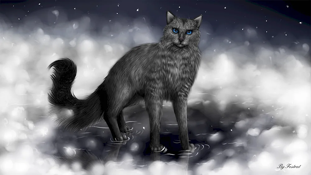 Warrior Cats Night