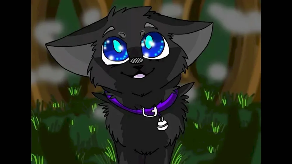 Warrior Cats Stargazer