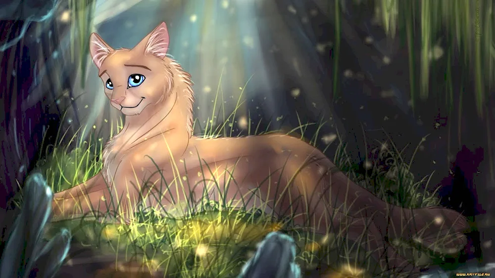 Warrior Cats Bobcat