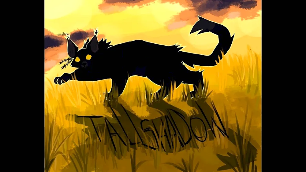 Misty Star Warrior Cats