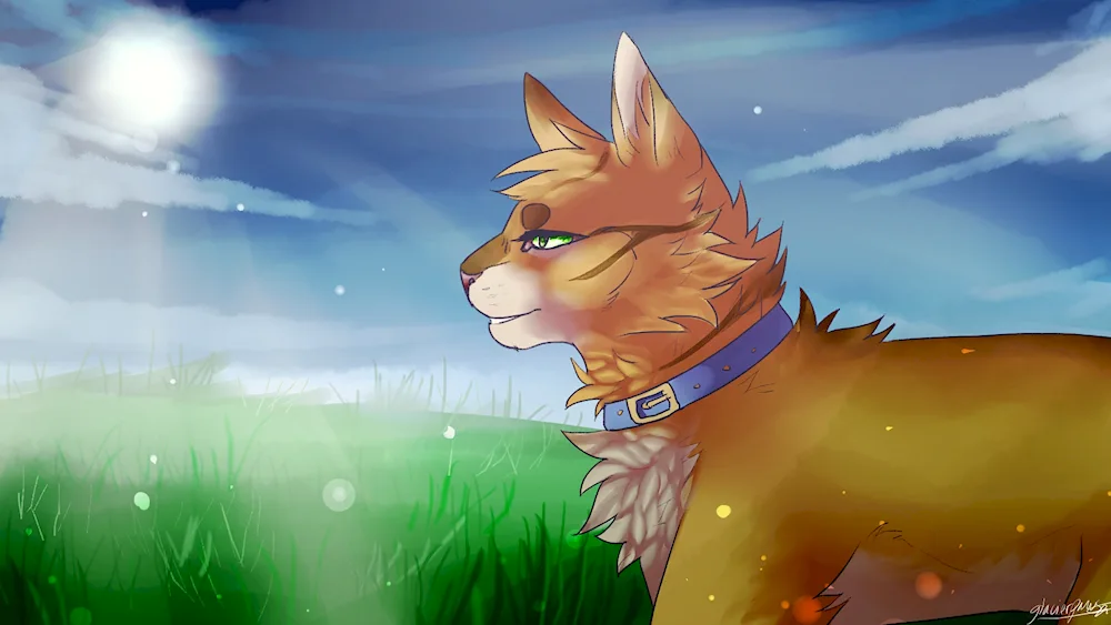 Warrior Cats Firestar Warrior Cats Thunderstar