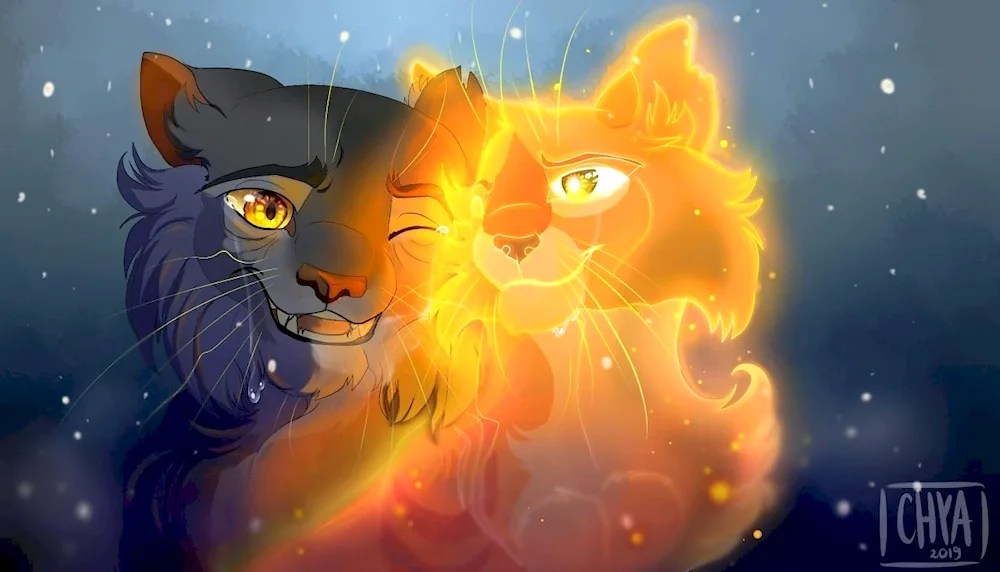 Warrior Cats