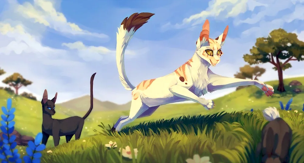 Warrior cats