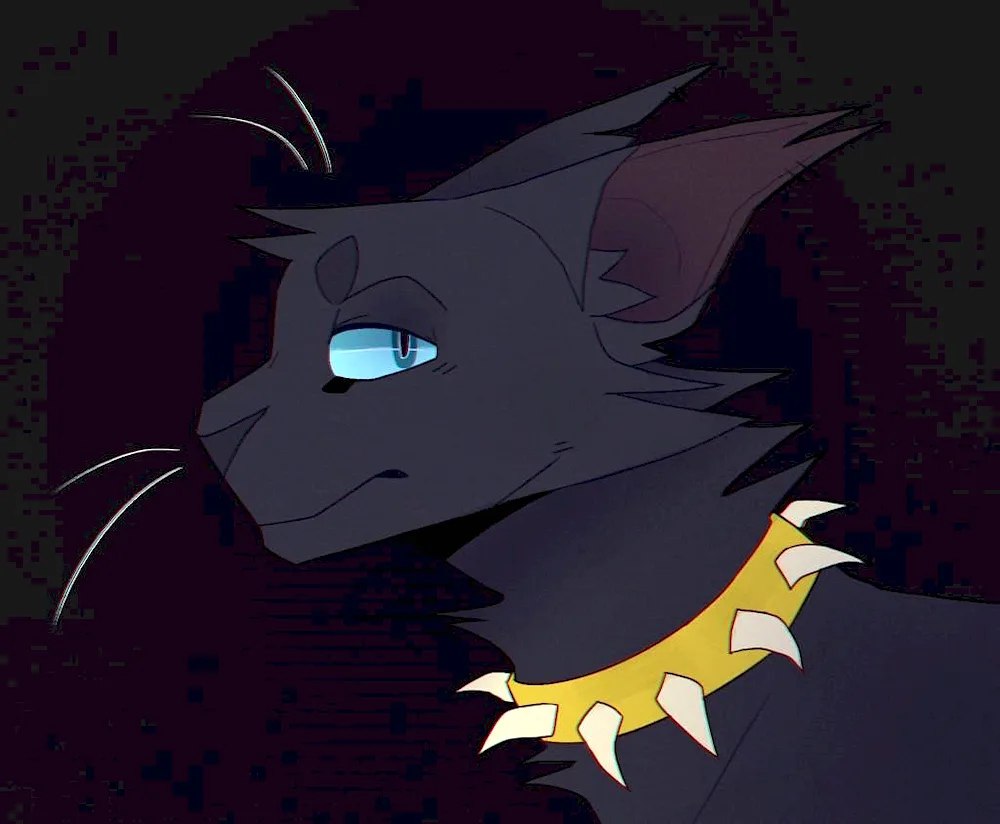 Warrior Cats Beech