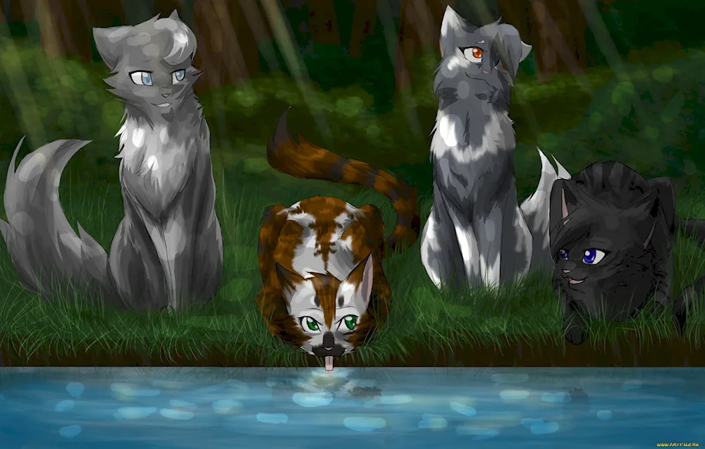 Warrior Cats Warriors Warrior Cats Warriors Warriors Warriors Warriors Warriors Warriors Warriors Warriors Warriors Warriors Warriors Warriors Warriors Warriors Warriors Warriors Warriors Warriors Warriors Warriors Warriors Warriors Warriors Warriors Warriors Warriors Warriors Warriors Warriors Warriors Warriors Warriors Warriors Firestar and Starbeam