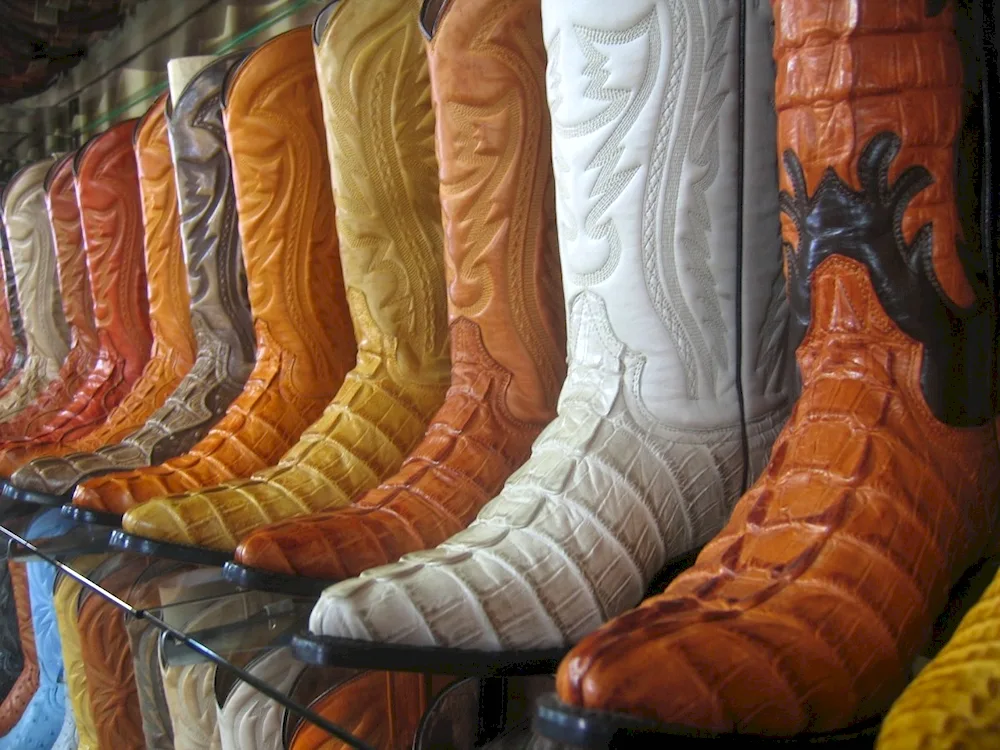 Cowboy boots