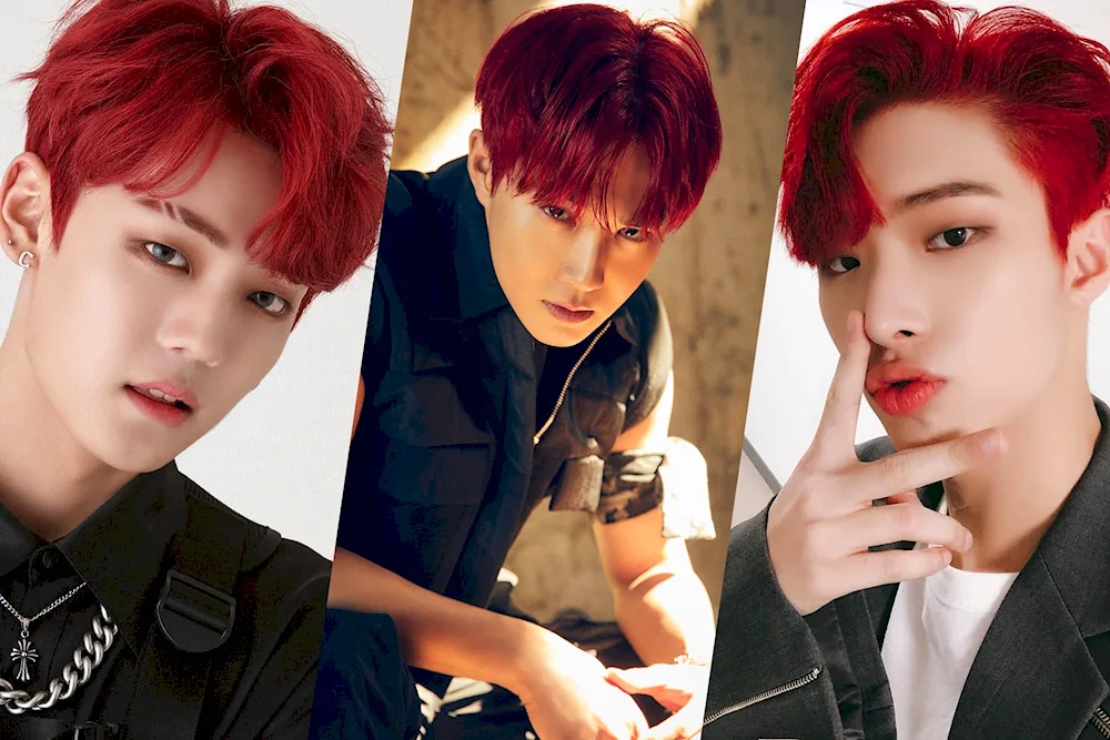 Kpop idol