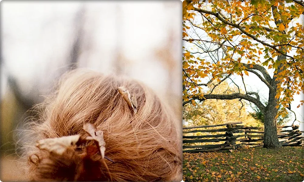 Beautiful blonde in autumn