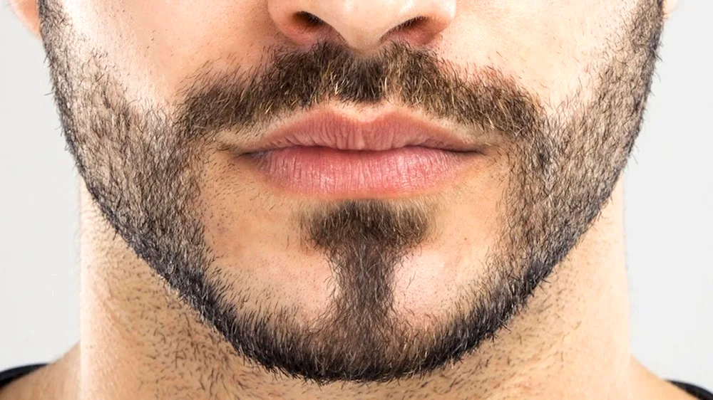 Men's lips. beard