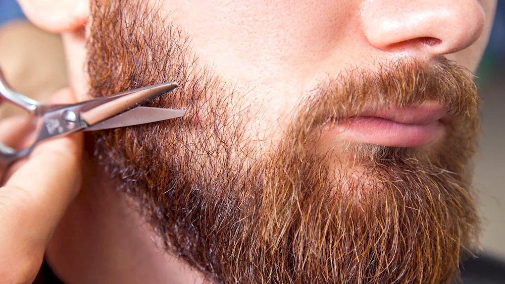 Beard cut