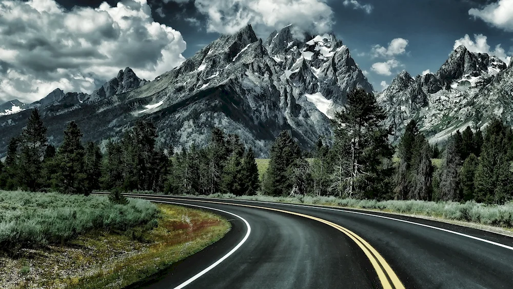 Summer road