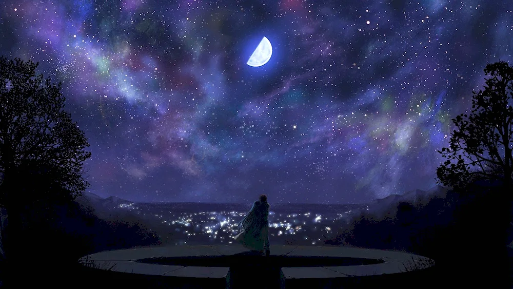 Fabulous night sky