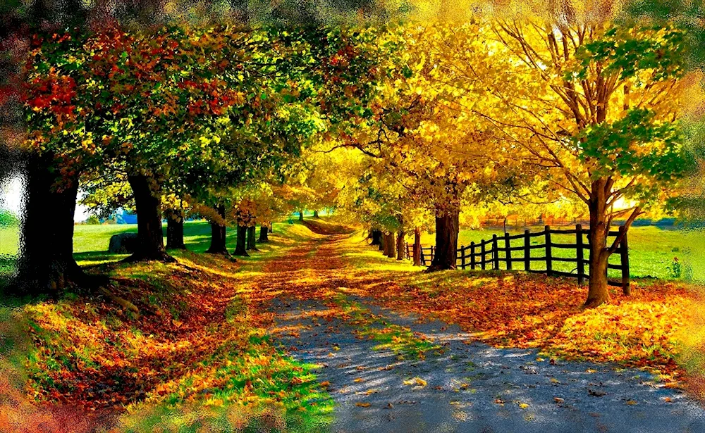 Autumn road