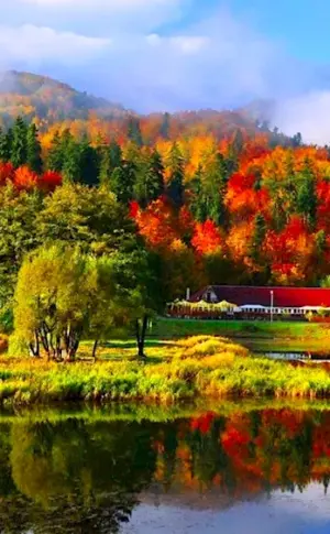 Beautiful Autumn