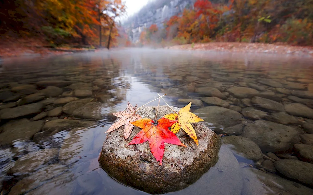 Push Mountain autumn