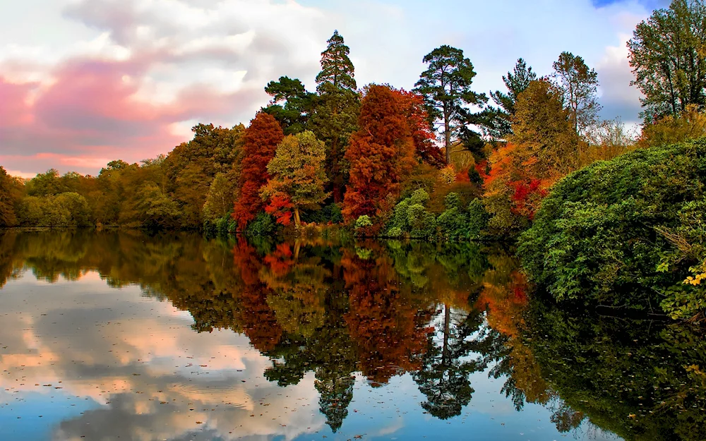 Beautiful Autumn Nature