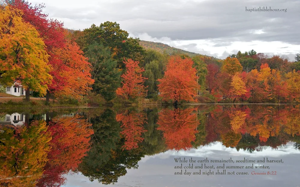 Beautiful autumn