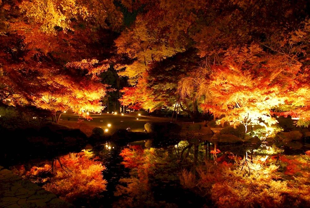 Autumn night