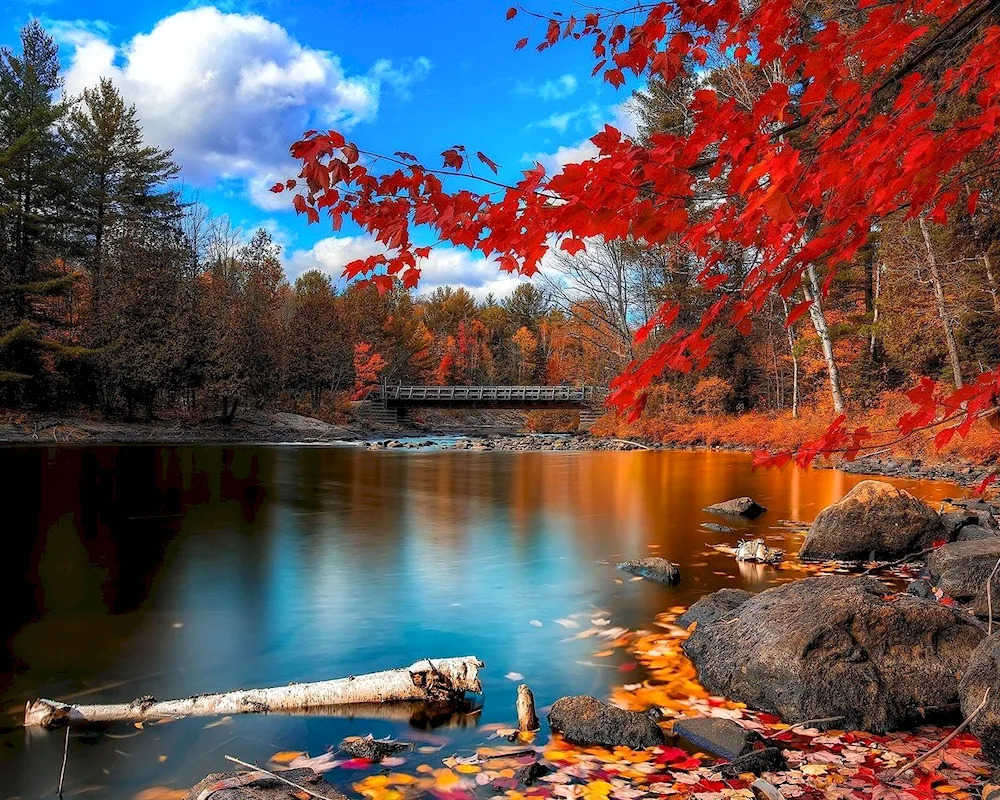 Beautiful autumn