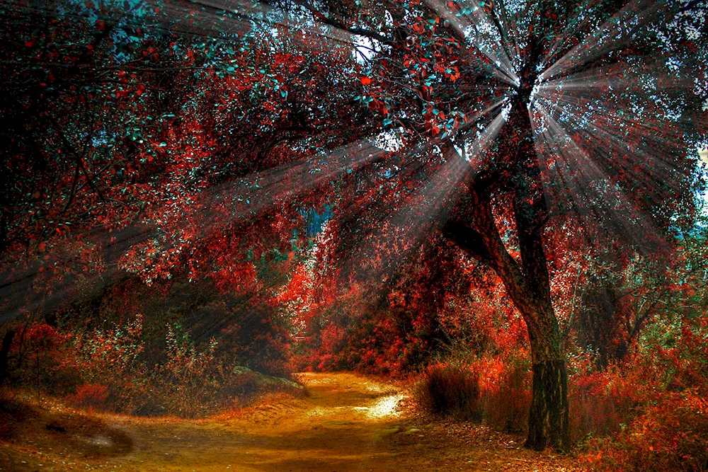 Autumn