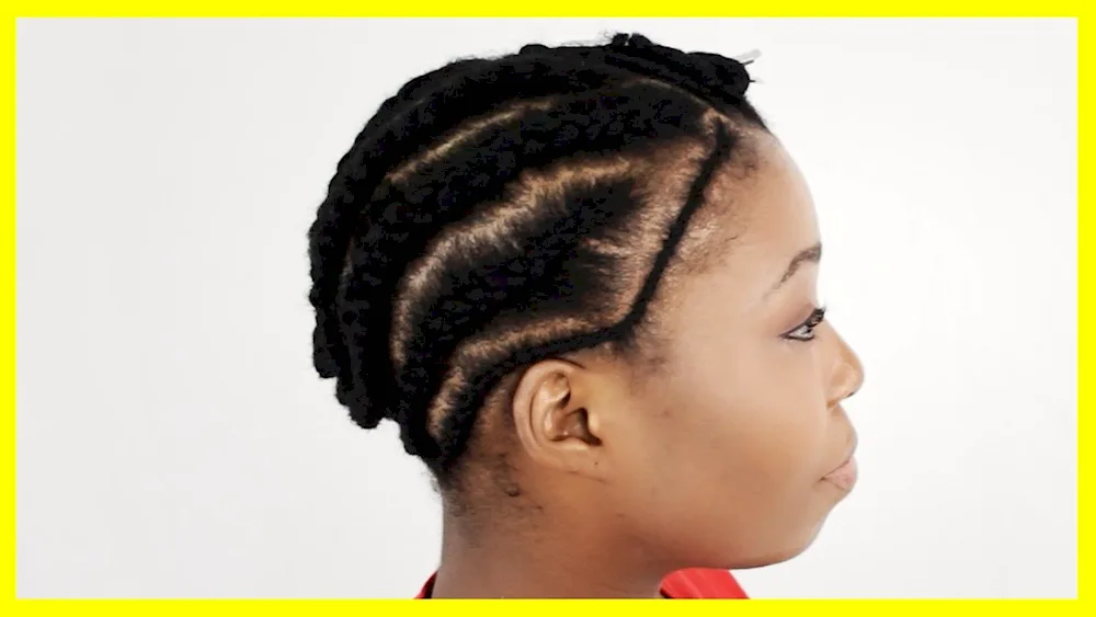 Beautiful Afro ponytail hairstyle