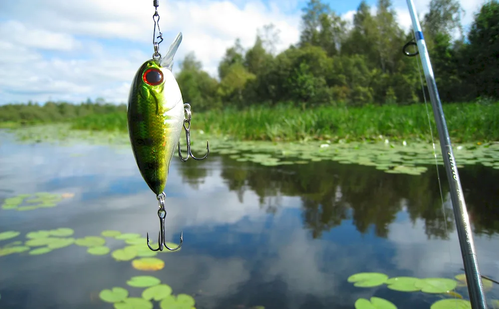 Fishing wallpaper