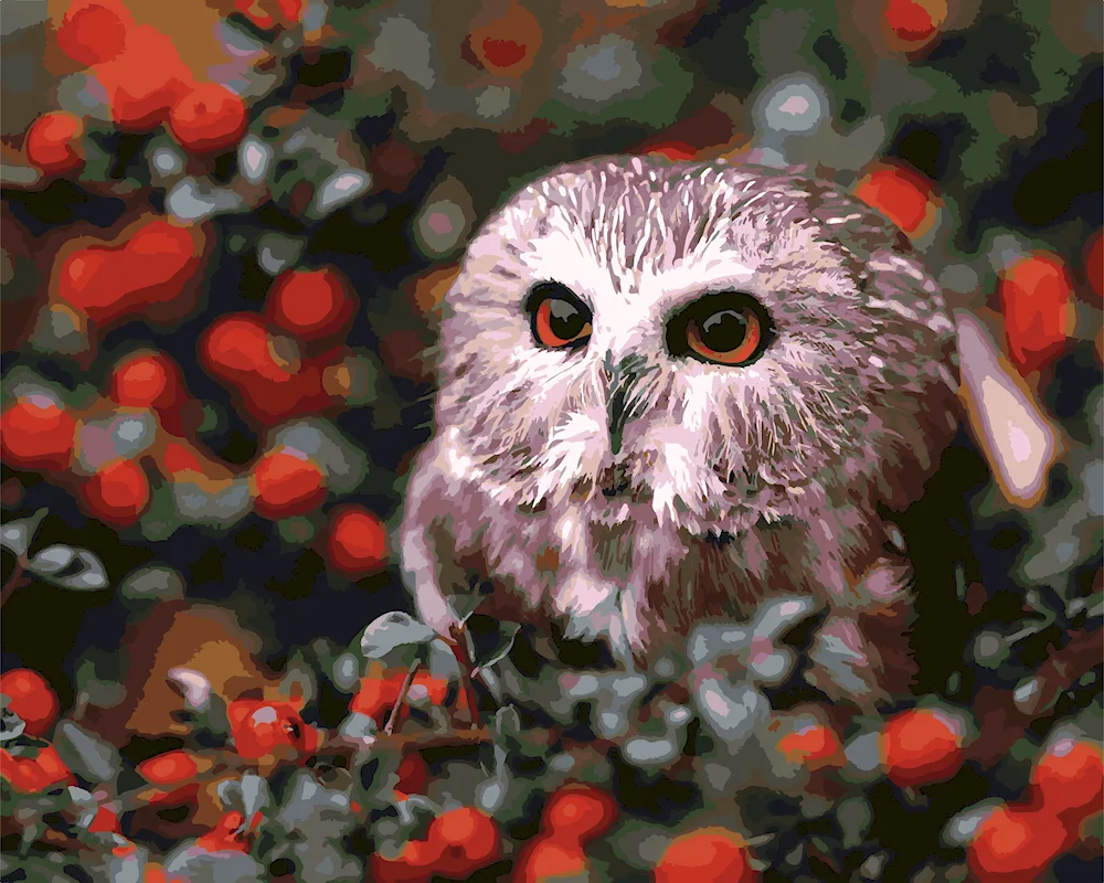 House Owl chick