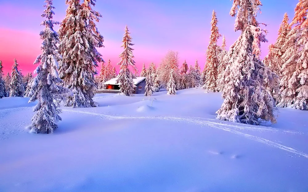 Winter landscape