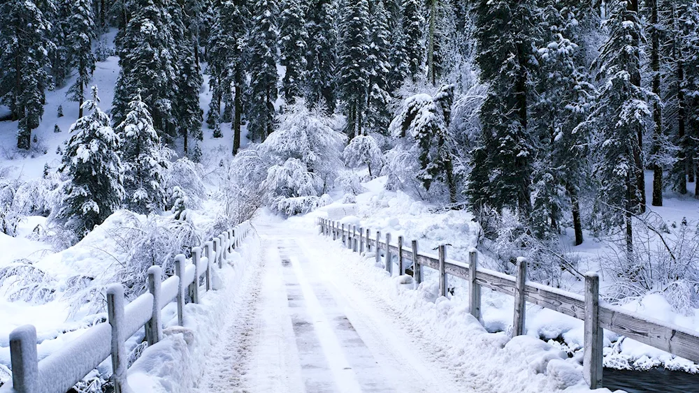 Winter mountains