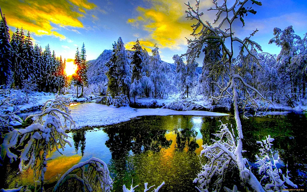 Beautiful winter