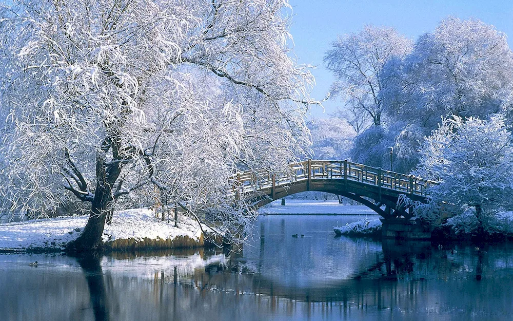 Beautiful winter