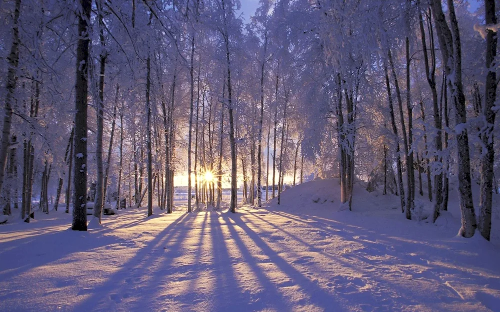 Winter nature