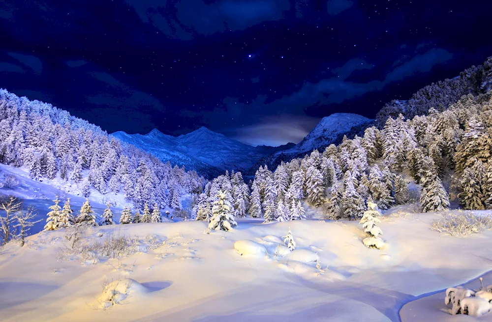 Beautiful winter