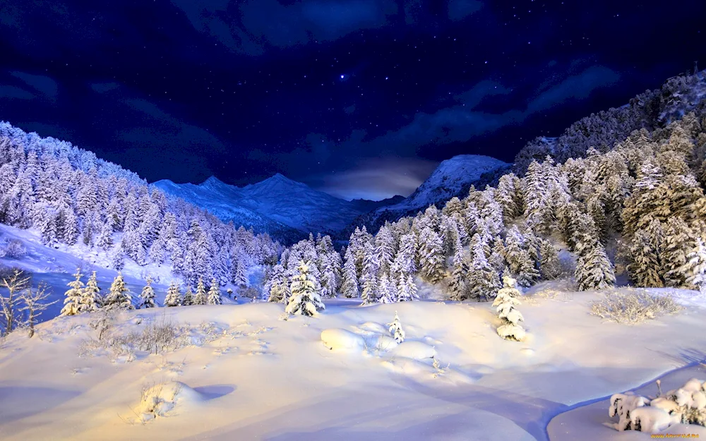 Beautiful winter